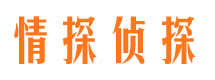 岑巩情探私家侦探公司